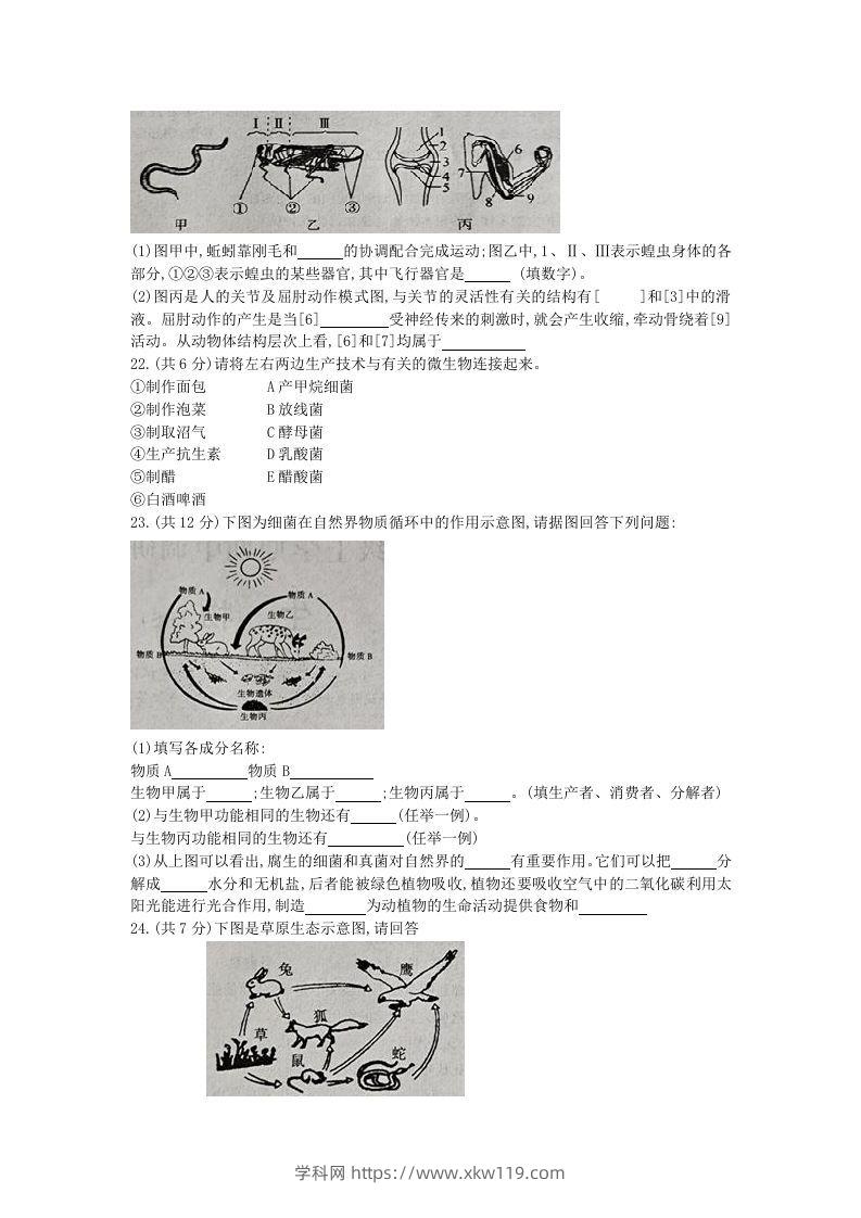 图片[3]-2020-2021学年河南省新乡市卫辉市八年级上学期期中生物试题及答案(Word版)-知途学科网