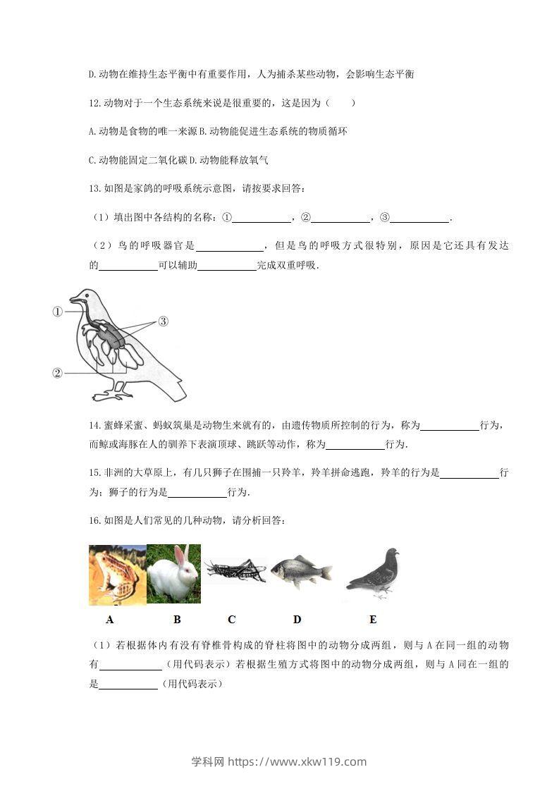 图片[3]-2020-2021学年湖北省黄冈市红安县八年级上学期期中生物试题及答案(Word版)-知途学科网