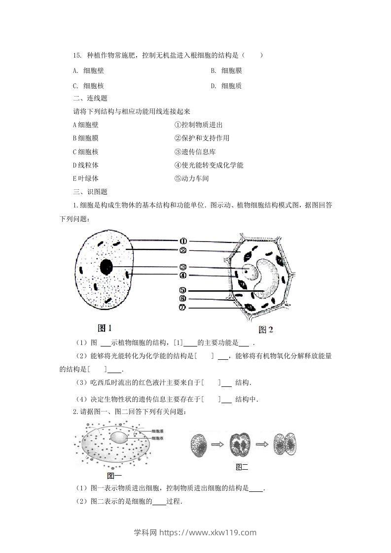 图片[3]-七年级上册生物第二单元第一章第四节试卷及答案(Word版)-知途学科网